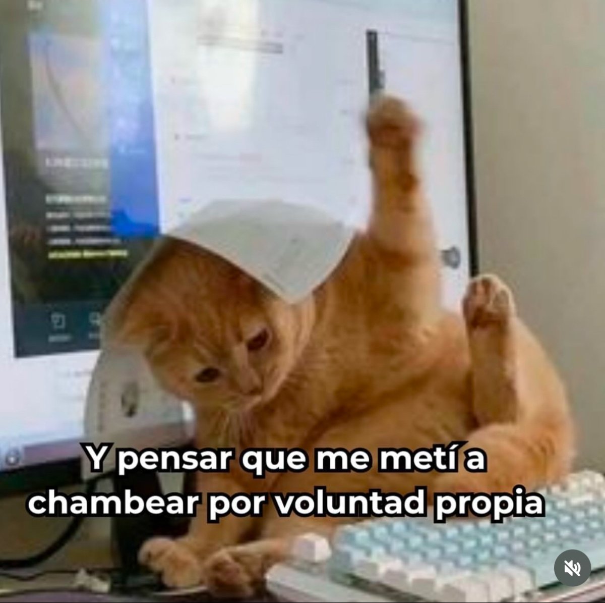 El Guarromántico (@guarromantico_) on Twitter photo 