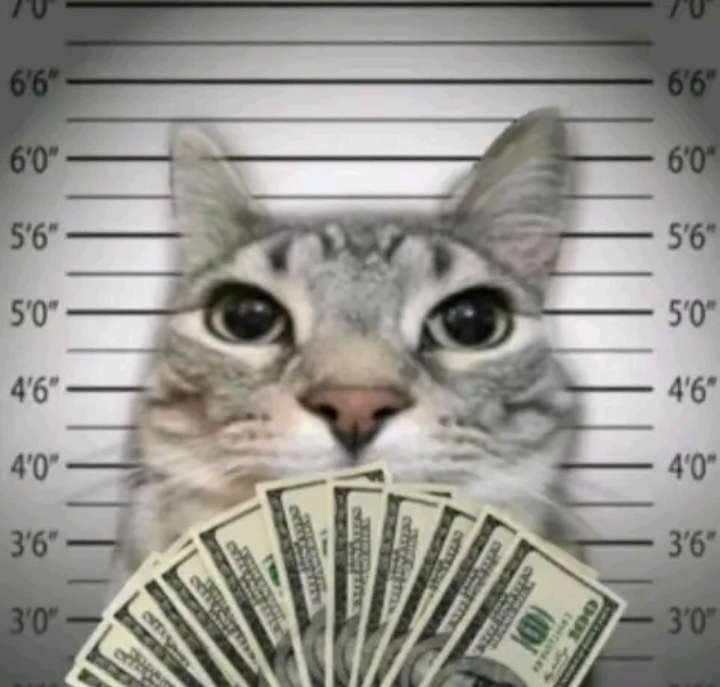 Estos últimos días han sido una experiencia que no puedo describir, creo que hacer parte de una comunidad como <a href="/UltravioletaDAO/">Ultravioleta DAO 🔺</a> 💜 ha sido una de las mejores cosas que me ha podido pasar. Gracias <a href="/0xultravioleta/">ultra</a> por haberme recibido y siempre estar dispuesto a enseñar 💜