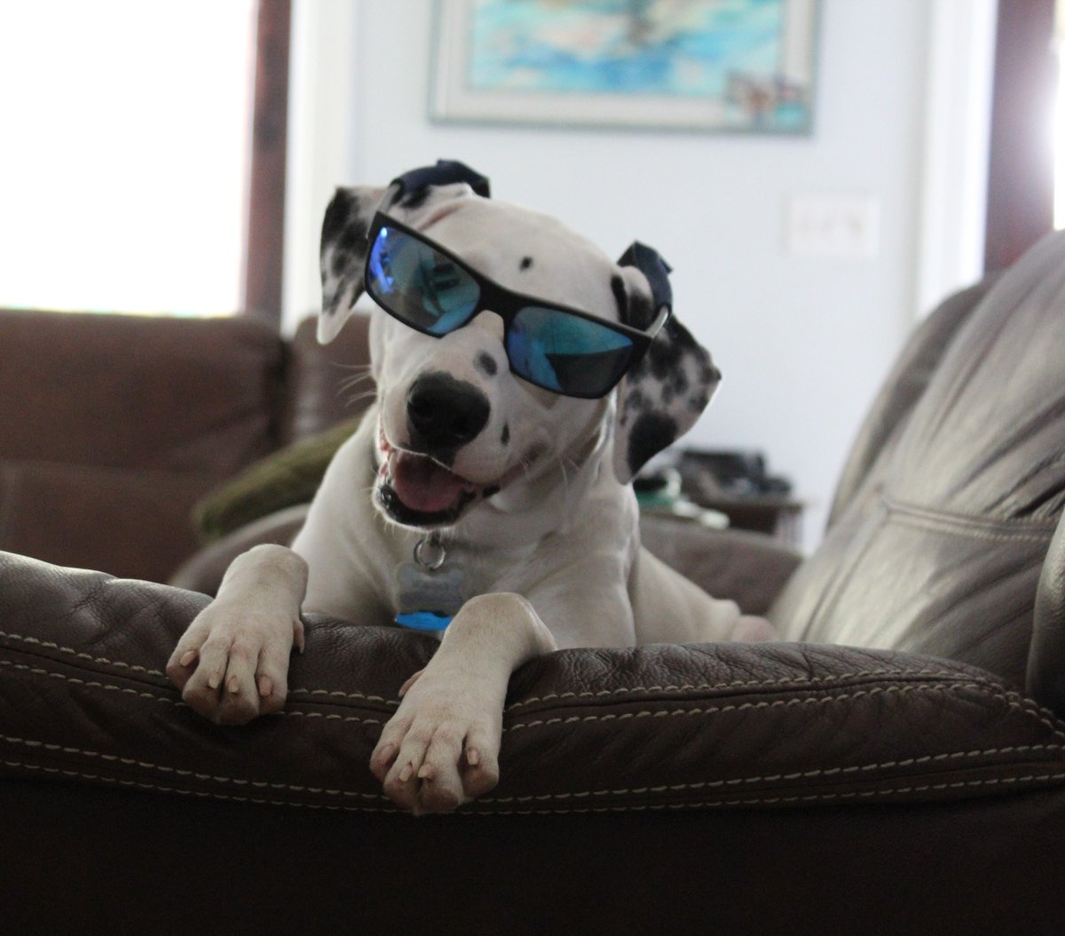 Ron Jon Surf Shop tweet media