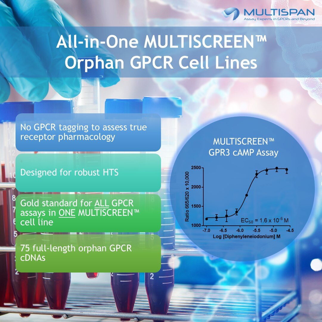 One MULTISCREEN™ cell line Is ALL you need! Unlock the power of oGPCR research with our HTS-ready or custom stable cell lines. hubs.la/Q037z1TY0  #Multispan #GPCR #drugdiscovery #research