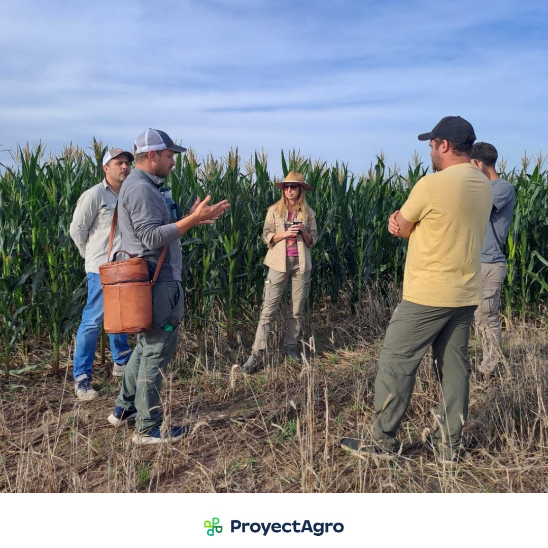 ProyectAgro tweet media