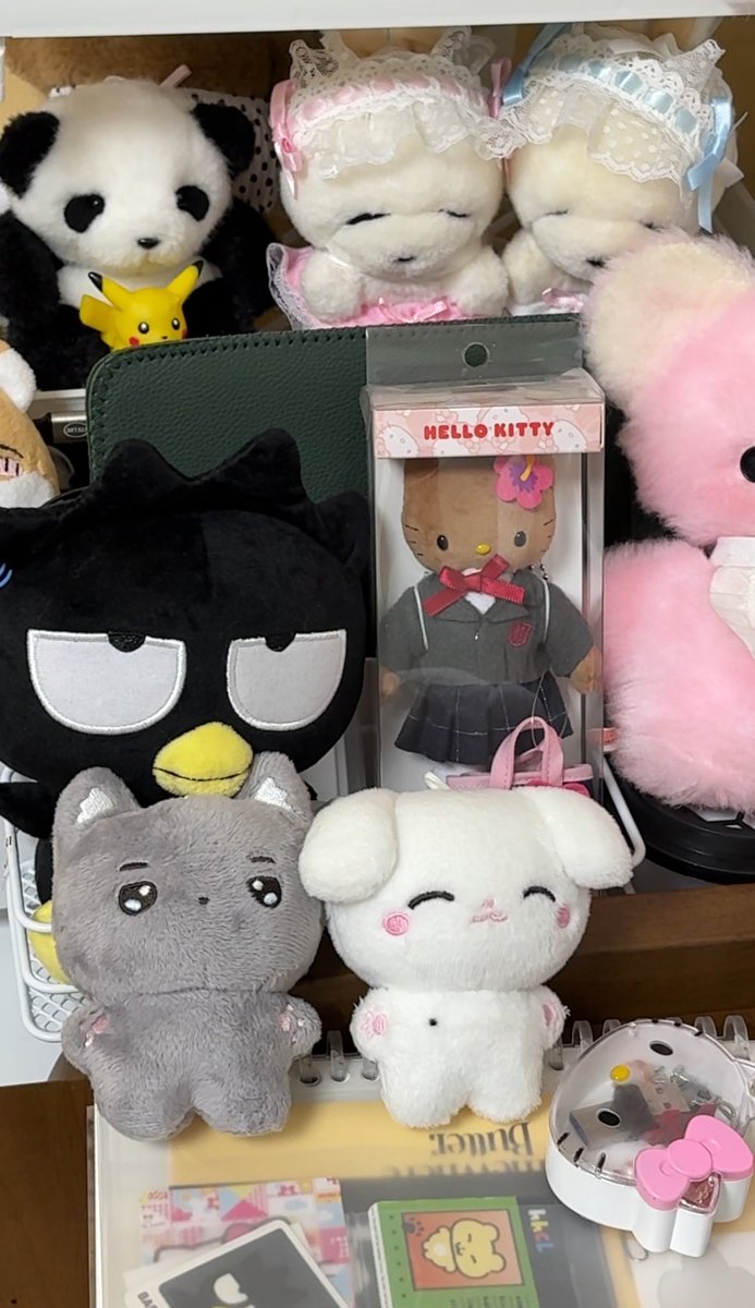 호이뽀 대충 다 말라서 실내루 데꼬옴 뽀송아ㅜㅜ