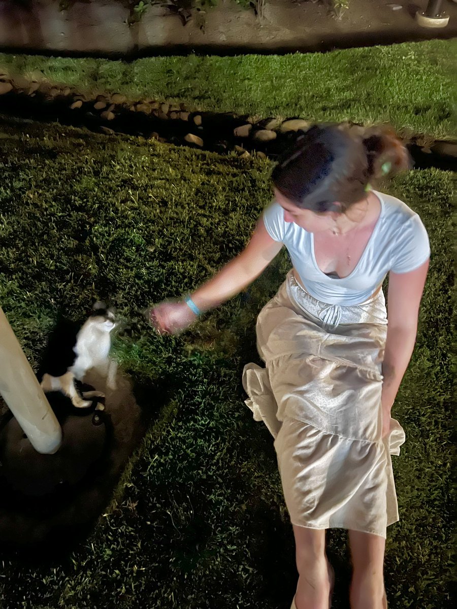 caity ☻ tweet media