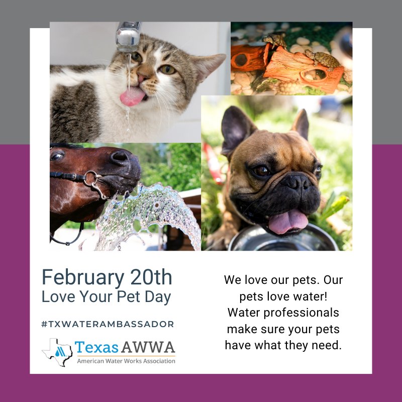 morgan_menard_2025 tweet media