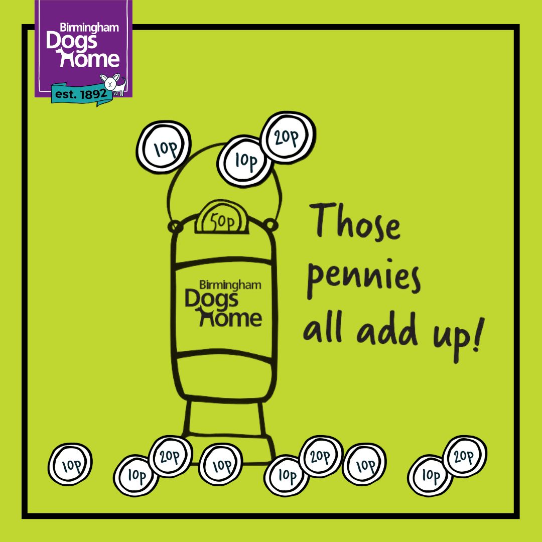 Are you holding an event over the festive period? 

Did you know we can provide collection tins for your fundraising event, shop or community group to collect donations to help support us here at BDH.