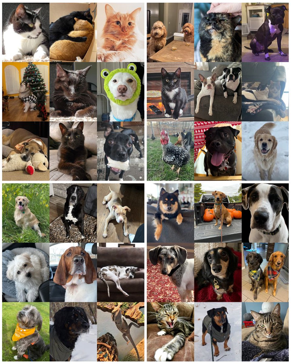 Lake Trust tweet media