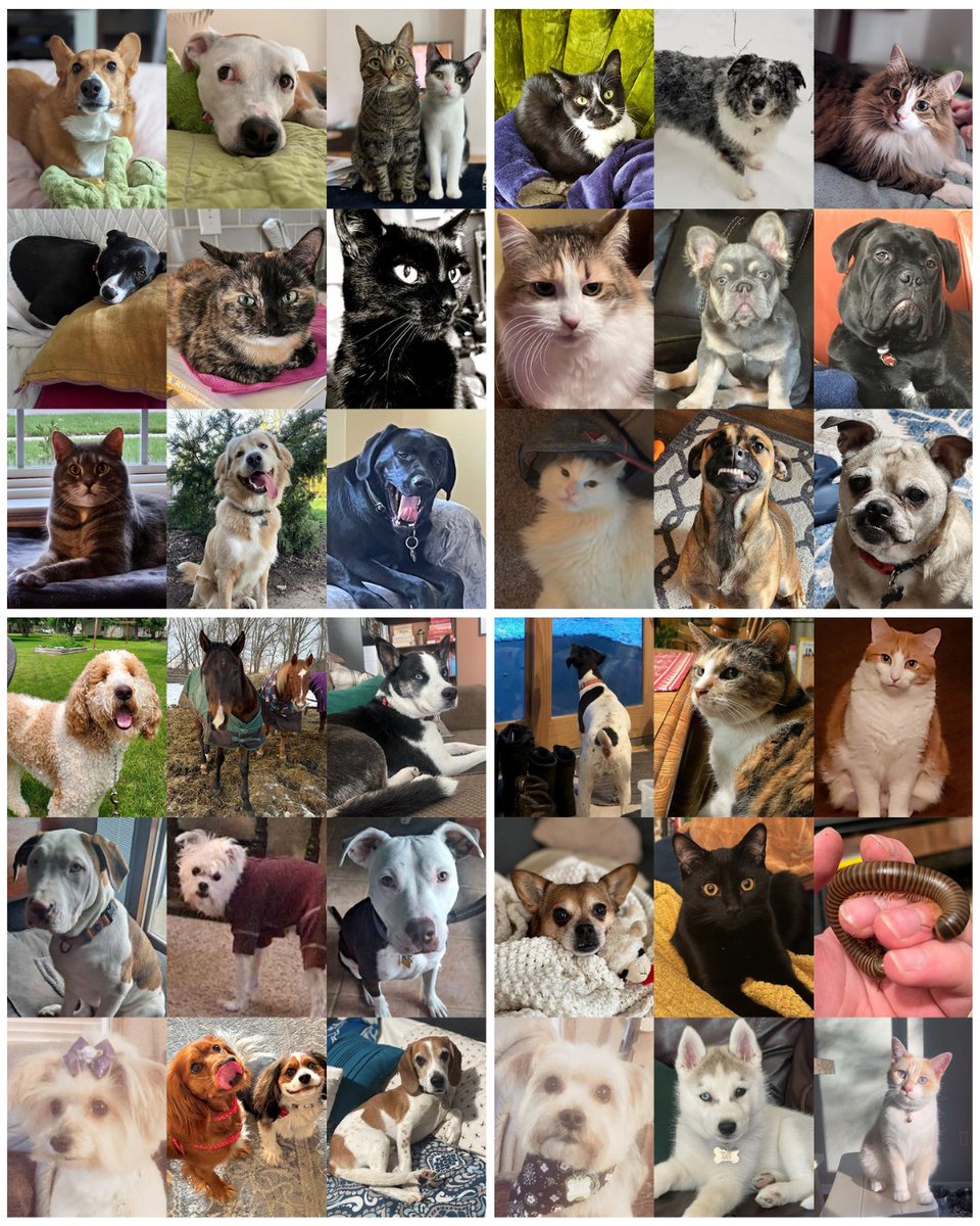 Lake Trust tweet media