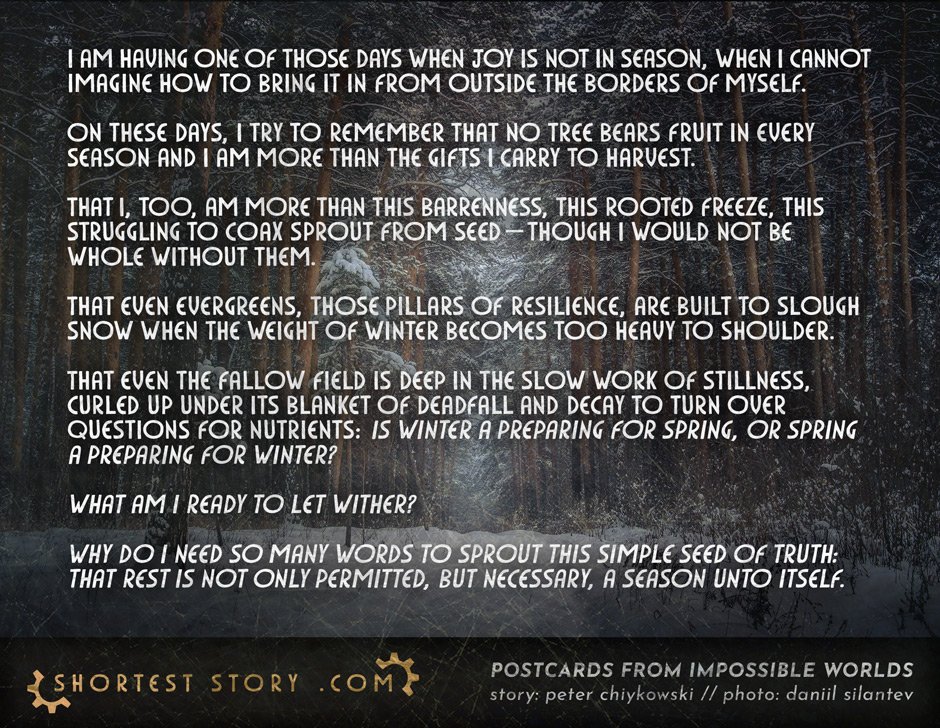 The Shortest Story tweet media