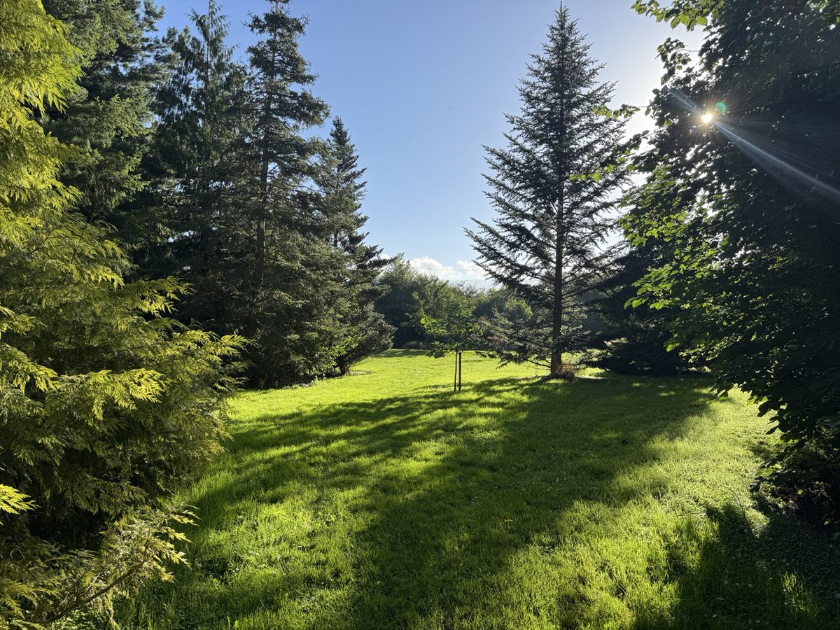 Marc Lou tweet media