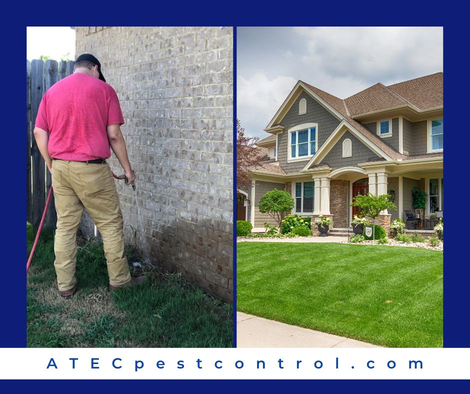 ATECPEST's tweet image. Our reliable, professional technicians will confirm convenient appointments and leave verification of services provided. Schedule your appointment today: 256-533-6754
