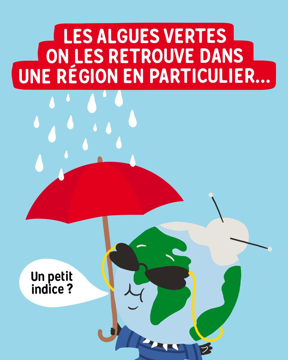laviefoods_fr's tweet photo. Mais c’est quoi cette histoire d’algues vertes en fait ? 

1/3 https://t.co/OAaNU4TVJc