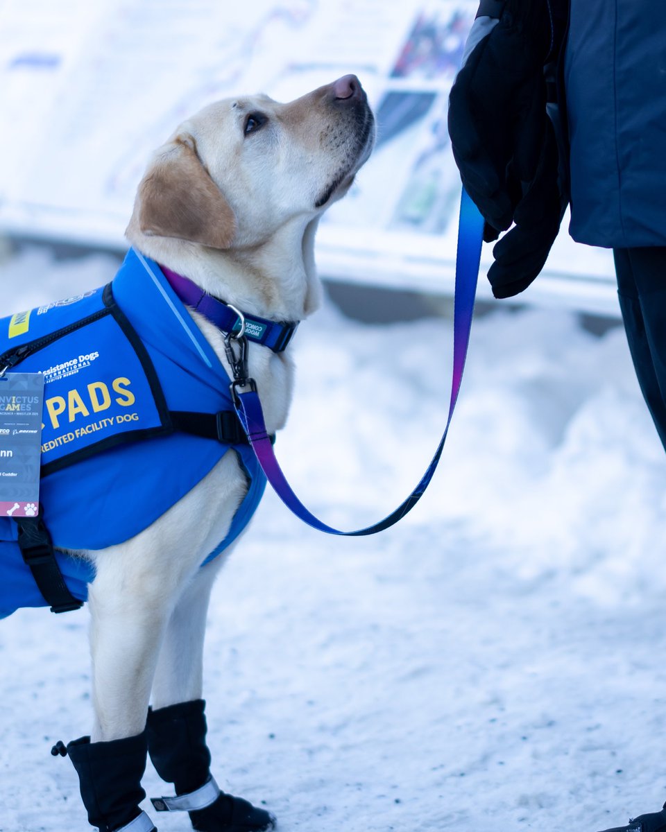 Un grand merci à PADS et à nos amis à quatre pattes qui nous ont procuré tant de joie, de réconfort et de soutien tout au long des #JI25. Vous avez été incroyablement é-patt-ants! 🐾

#ParcoursCollectif