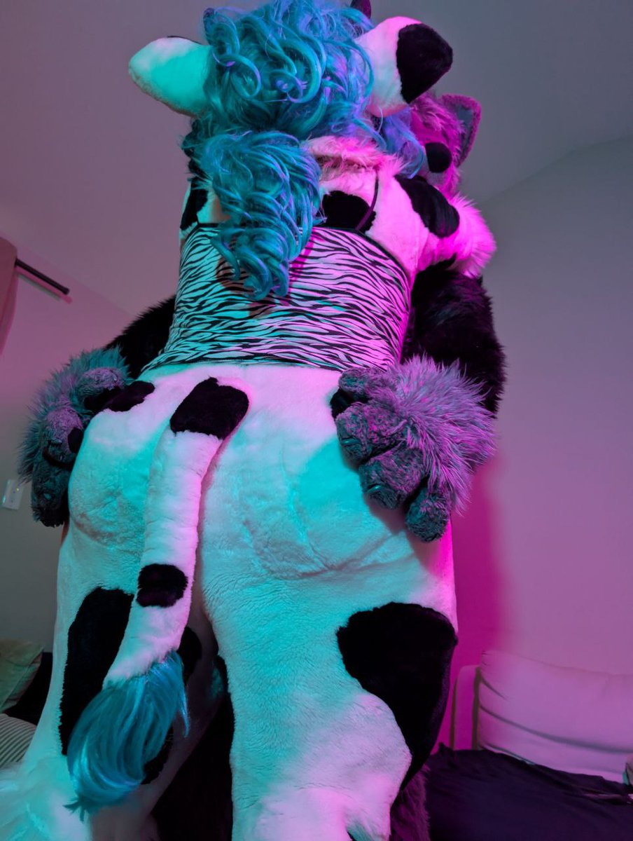FurryReam's tweet photo. Grab my dumpy 

@renny_ad is the paws https://t.co/MDT44Bm10Q