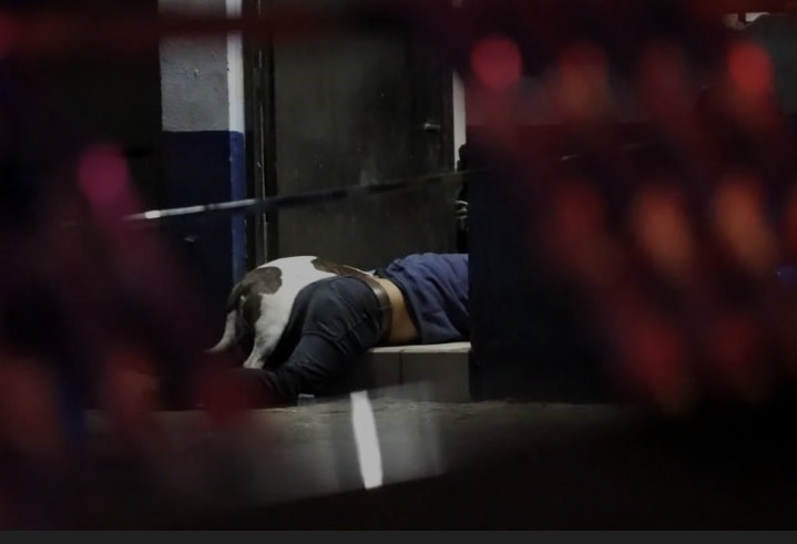 cdmxof's tweet image. 😰🚔4sesin4n a dos trabajadores de una gasera y un perro en la colonia Villa de las Palmas en el municipio de #AtizapánDeZaragoza #Edomex. Los responsables huyeron del lugar a bordo de un auto y una motocicleta.