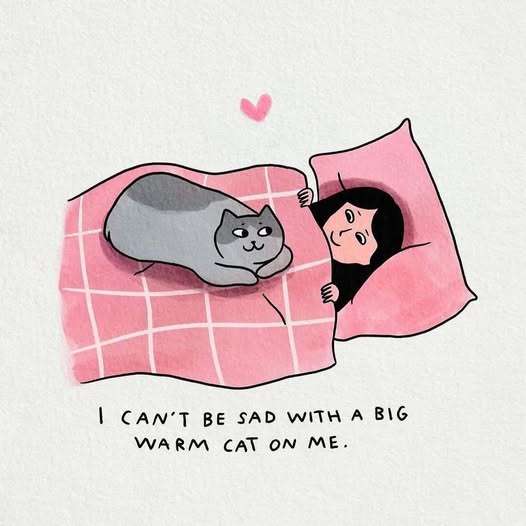 The best thing we can think of 🥰 all that floof and chonck🐱