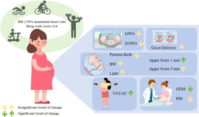 🤰🏋️‍♀️ El ejercicio de alta intensidad durante el #embarazo no solo es seguro, sino que también reduce complicaciones y el riesgo de #diabetesgestacional 🤩💪 Además, mantiene la capacidad física por más tiempo

link.springer.com/article/10.100…