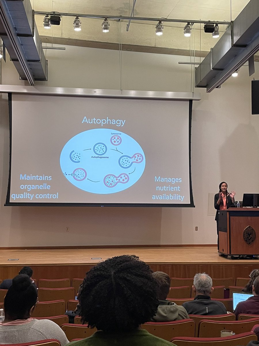 At today’s Seminar Series we are pleased to host Dr. Christina Towers, PhD. Our very own student, Camille Stevenson, was the driver to host such an accomplished speaker, thank you!