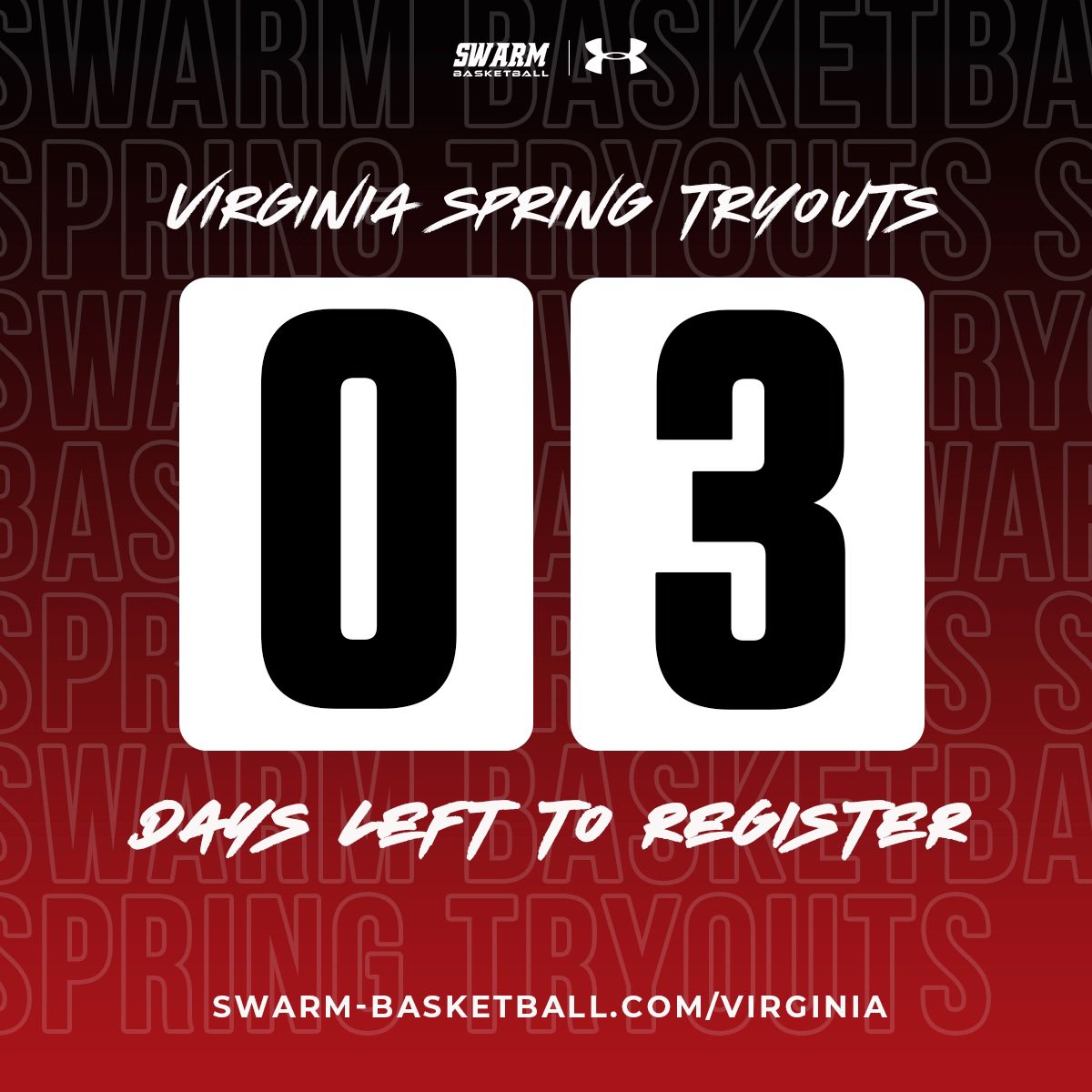 Virginia Swarm tweet media