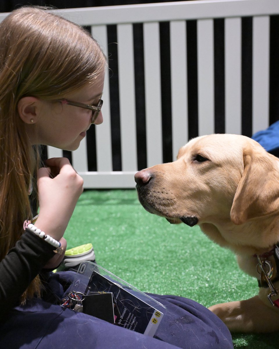 InvictusGames25's tweet image. A huge thank you to PADS and our four-legged fur-iends for bringing so much joy, comfort, and support throughout #IG25. You’ve been pawsitively amazing and High-Fives are deserved all around! 🐾
#SharedJourney