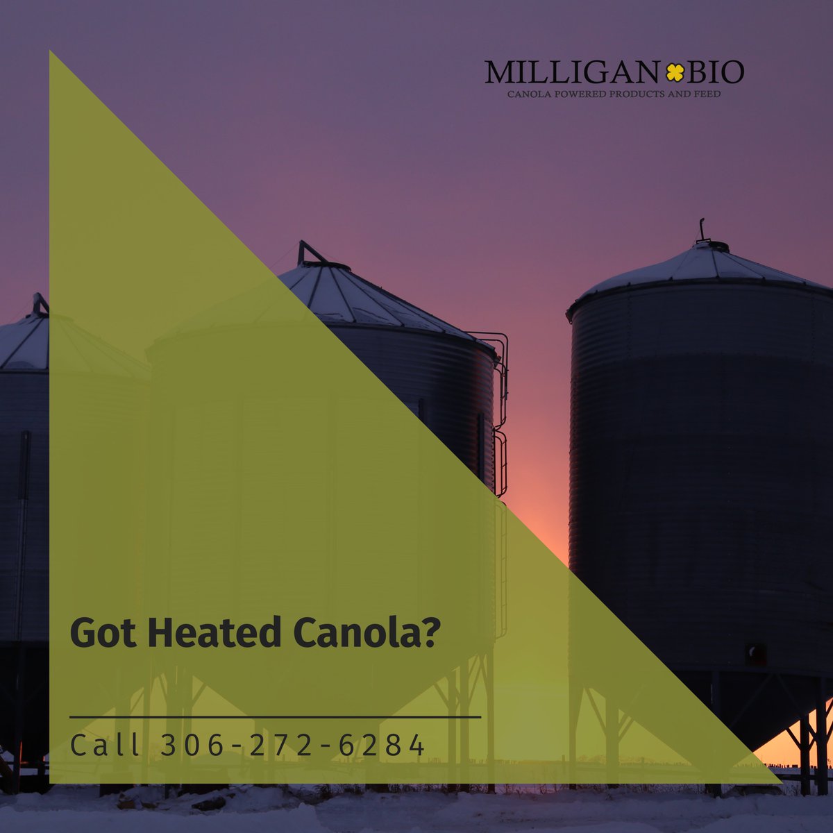 PURCHASING
ALL OF GRADES
PROMPT DELIVERY OPTIONS
CALL TO BOOK A DELIVERY DATE
Canola Purchasing Contact:
Phone: 306-272-6284
Mobile: 306-272-8777
Email: admin@milliganbio.com