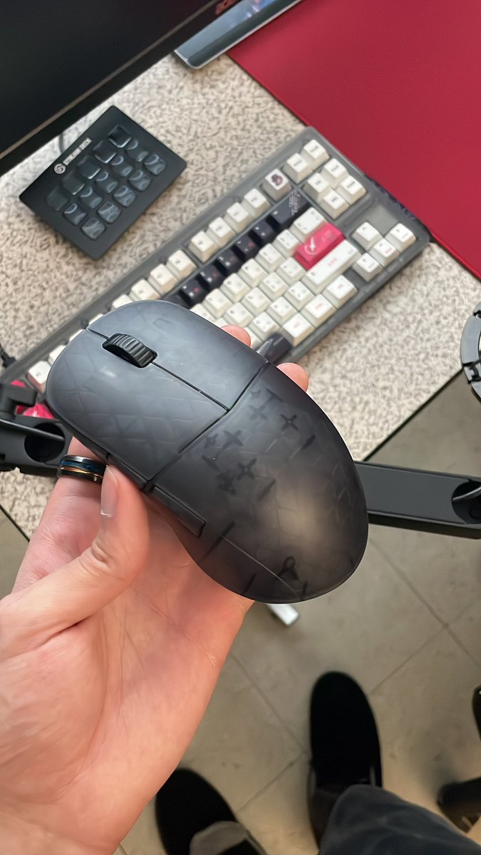 eli 🌊 tweet media