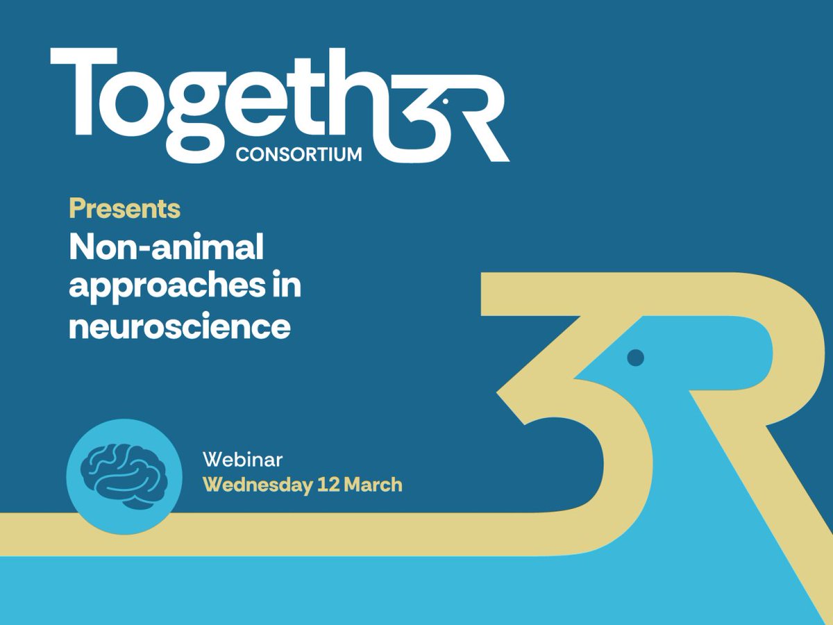 Join our webinar on Wednesday 12th to learn about non-animal approaches in #neuroscience research! From human neurons and organoids for Alzheimer’s research to computational models of neuronal networks, explore state-of-the-art #replacement methodologies: lnkd.in/eqVtUaMR