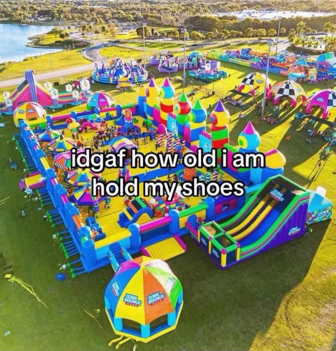 wildtiktokss's tweet image. 