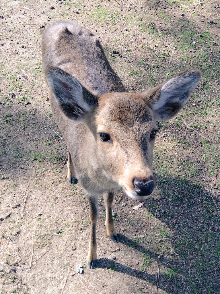 ＧＯＯＤmorning
おはよーございます。
春に向かって一直線！イイね