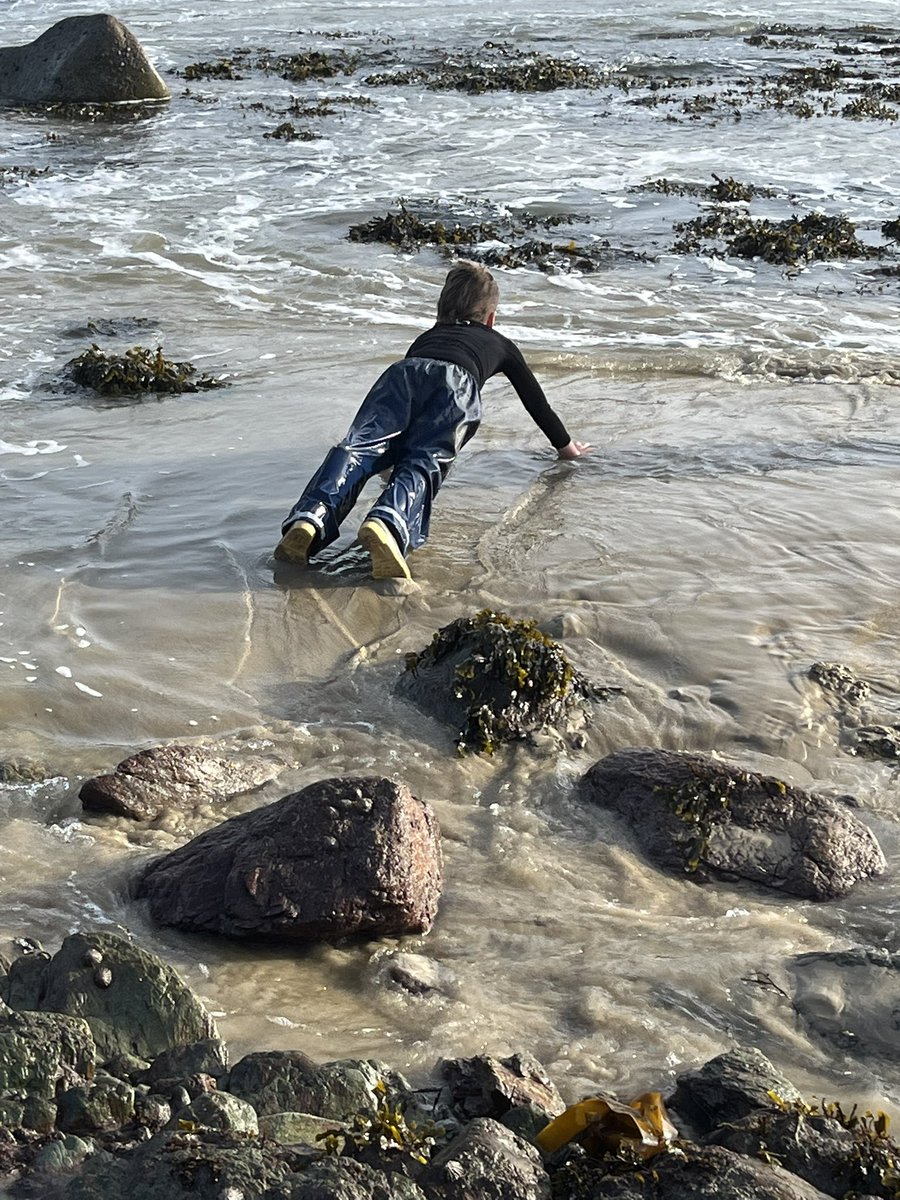 Wick Marcross (@wickps) on Twitter photo Exploring the beach and the end of a busy, brilliant week! <a href="/Treginnis_FFCC/">Lower Treginnis - Farms for City Children</a> Exploring the beach and the end of a busy, brilliant week! <a href="/Treginnis_FFCC/">Lower Treginnis - Farms for City Children</a>