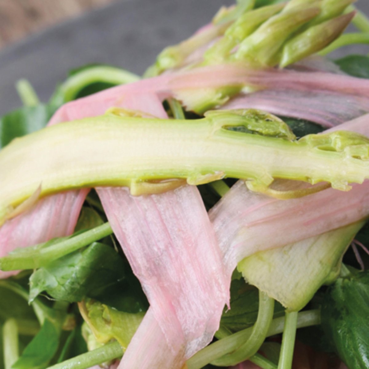 Brighten up your spring menu with this refreshing rhubarb, asparagus &amp; pea shoot salad! 

A perfect balance of tangy, crisp &amp; vibrant flavours that screams seasonal goodness. Ideal as a starter or a fresh side dish 🍽️ 

For the full recipe &amp; method, go to: bit.ly/48vVoIe
