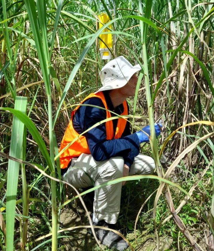 enviro_DNA's tweet image. Luke Noble is now Principal Scientist at EnviroDNA! Recently he has been undertaking research on air DNA monitoring, soil biome analysis and natural capital solutions using eDNA. In this role, he’ll help develop innovations to deliver even greater impact for our clients.
👏 🎉
