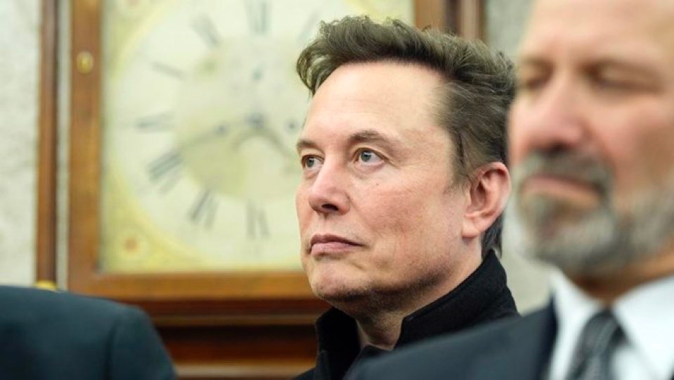 Not Elon Musk tweet media