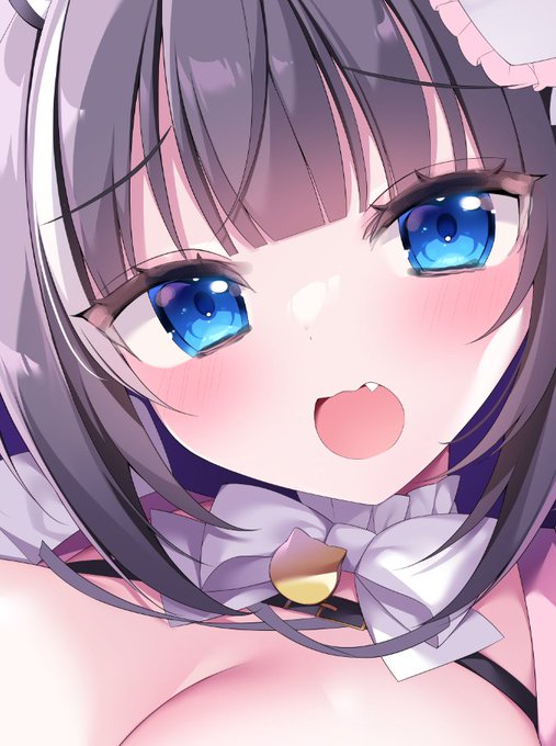 にゃーん…!しゅうせいちゅう! 