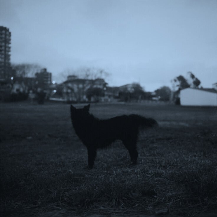 star_Blacksx's tweet image. 