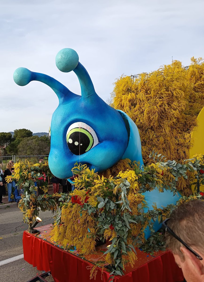 Barbara Lovato (@barbaralovato1) on Twitter photo La Festa della mimosa a Mandelieu-la-Napoule #ExploreFrance <a href="/MandelieuOTC/">Mandelieu Tourisme</a> <a href="/VisitCotedazur/">Côte d'Azur France</a> La Festa della mimosa a Mandelieu-la-Napoule #ExploreFrance <a href="/MandelieuOTC/">Mandelieu Tourisme</a> <a href="/VisitCotedazur/">Côte d'Azur France</a>