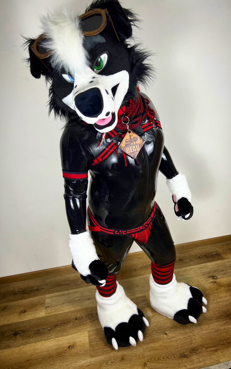 Shiny ✨ dawggggggg

<a href="/KinkyArtsAD/">Kinky Arts</a> 
📸: <a href="/PolishedDeer/">✨Shiny Bleat!✨</a>