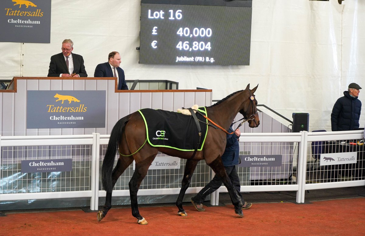Tattersalls Cheltenham (@tattscheltenham) on Twitter photo Jubilant easy 7l winner collecting first success over hurdles <a href="/Huntingdon_Race/">Huntingdon Racecourse</a>
Always travelling well, went clear two from home, wins "readily" for <a href="/JPOwenRacing/">James Owen Racing</a>
#CheltenhamFebruary 2024
<a href="/colinboweracing/">Colin Bowe Racing</a> โก๏ธ <a href="/Davidph6045/">David phelan</a>, ยฃ40,000
๐๏ธ February Sale, tomorrow, 1pm
๐ Jubilant easy 7l winner collecting first success over hurdles <a href="/Huntingdon_Race/">Huntingdon Racecourse</a>
Always travelling well, went clear two from home, wins "readily" for <a href="/JPOwenRacing/">James Owen Racing</a>
#CheltenhamFebruary 2024
<a href="/colinboweracing/">Colin Bowe Racing</a> โก๏ธ <a href="/Davidph6045/">David phelan</a>, ยฃ40,000
๐๏ธ February Sale, tomorrow, 1pm
๐