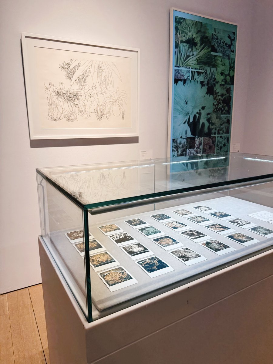 Sofia Crespo 🪸 tweet media