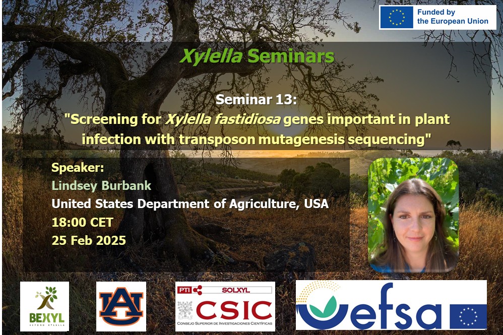 PTI-SolXyl tweet media