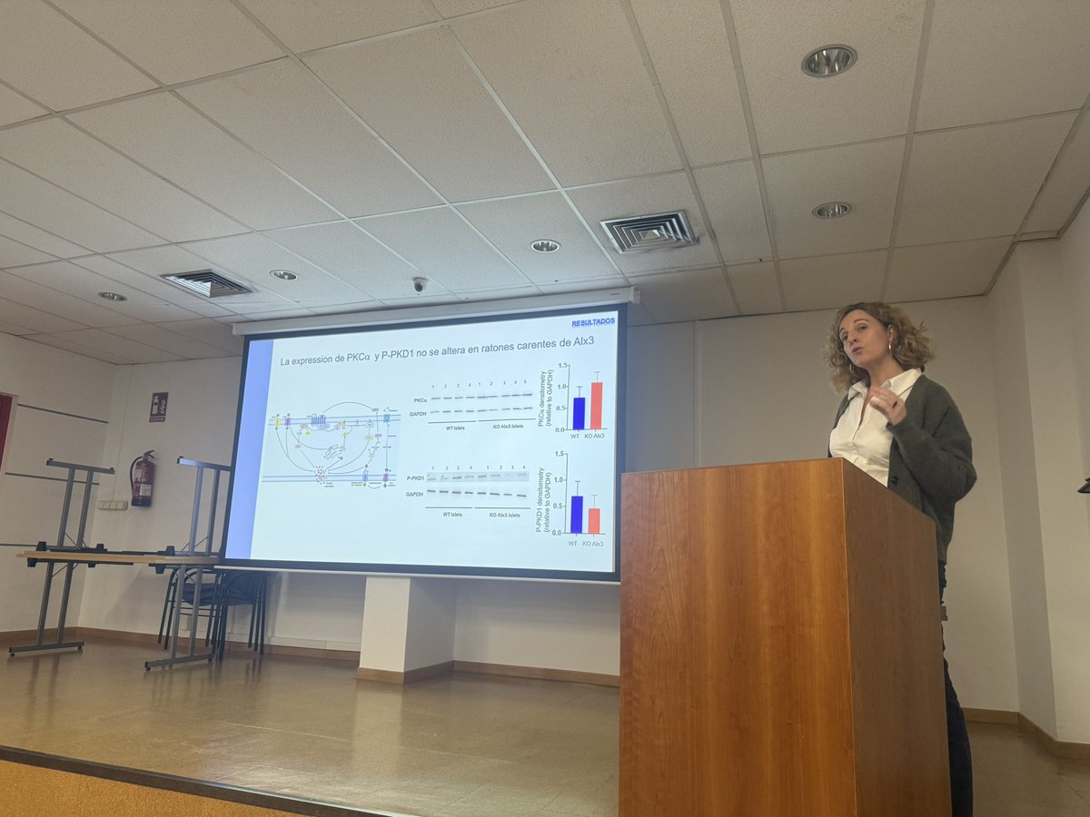 Ayer celebramos en el <a href="/IIBmCSICUAM/">IIBM</a> el Primer Simposio de Islote Pancreático, reuniendo a medio centenar de investigadores. El evento fue todo un éxito. ¡Repetiremos seguro!