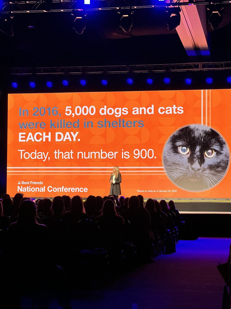 “But that’s still 900 too many.” - <a href="/BFAS_Julie/">Julie Castle, CEO of Best Friends</a> 

#BFNC25