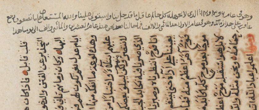 المقداد بن خليل tweet media
