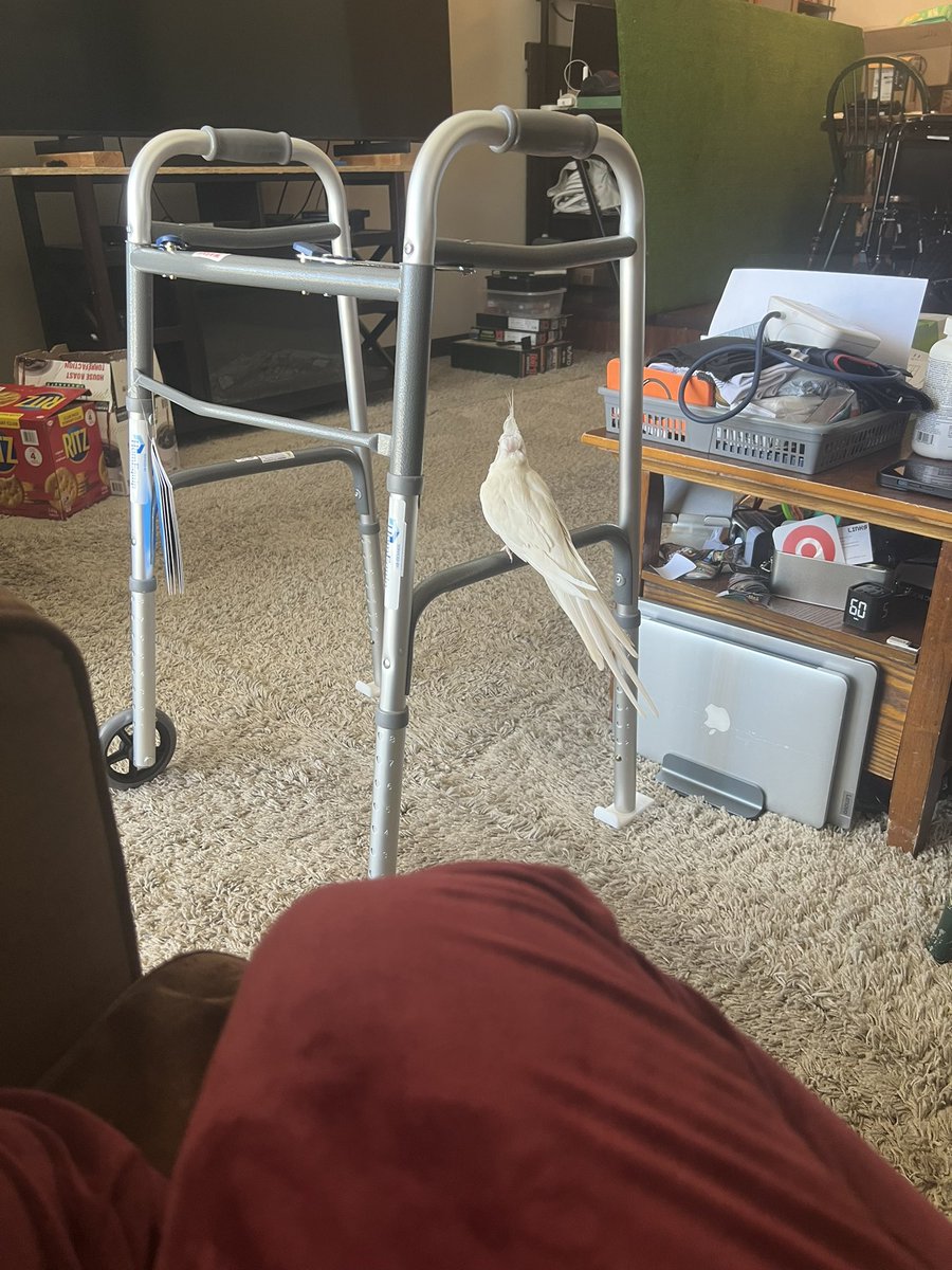 Our dad earned himself a brand new femur and he came home with some cool toys for us to play on