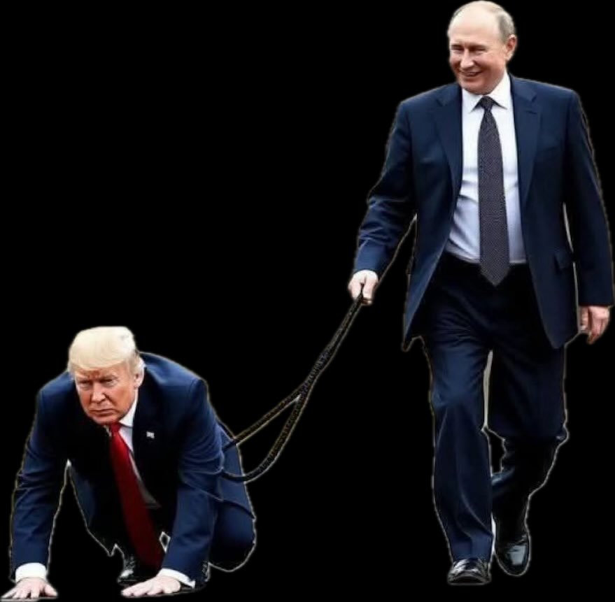 StevenFlagss's tweet photo. communist and donkey 🌈🇷🇺 https://t.co/a5TqRfktLC