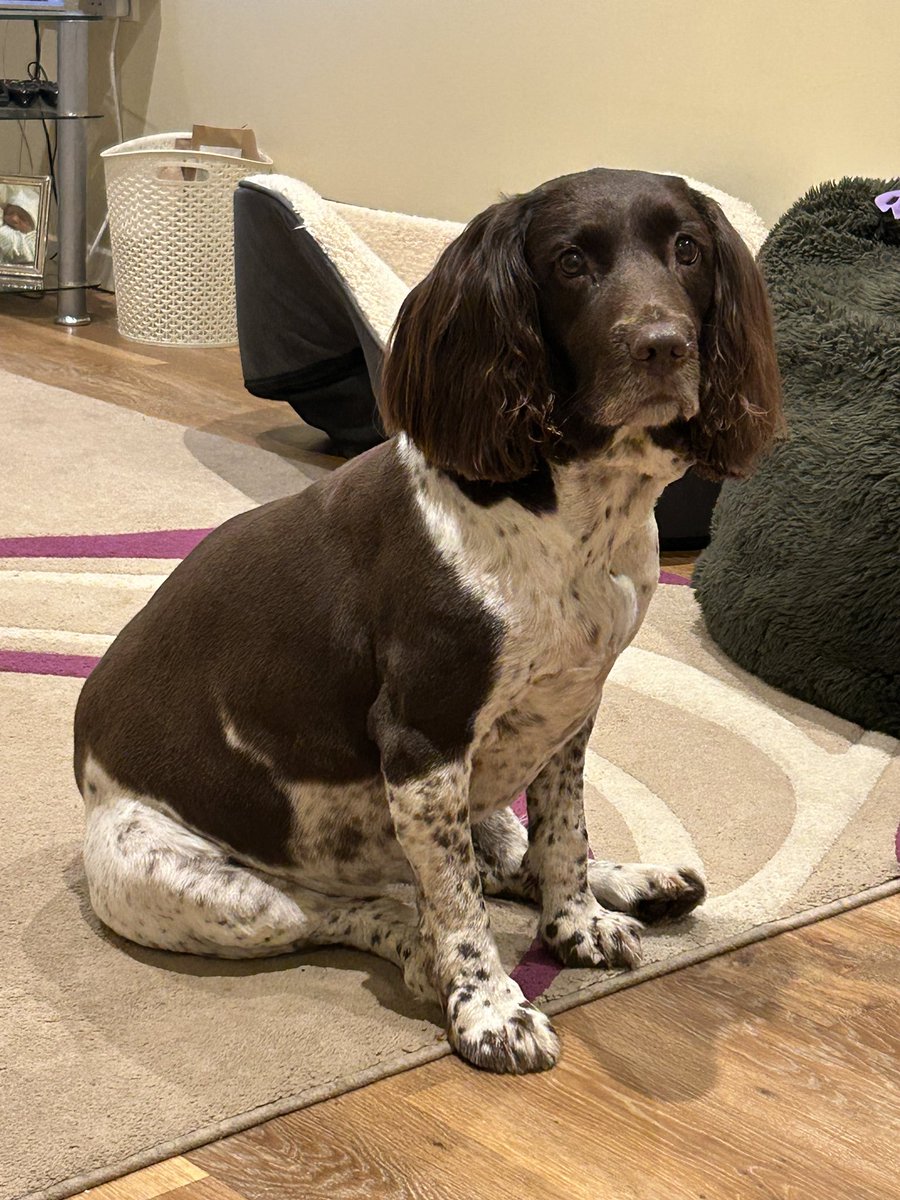 Roger Brightman tweet media