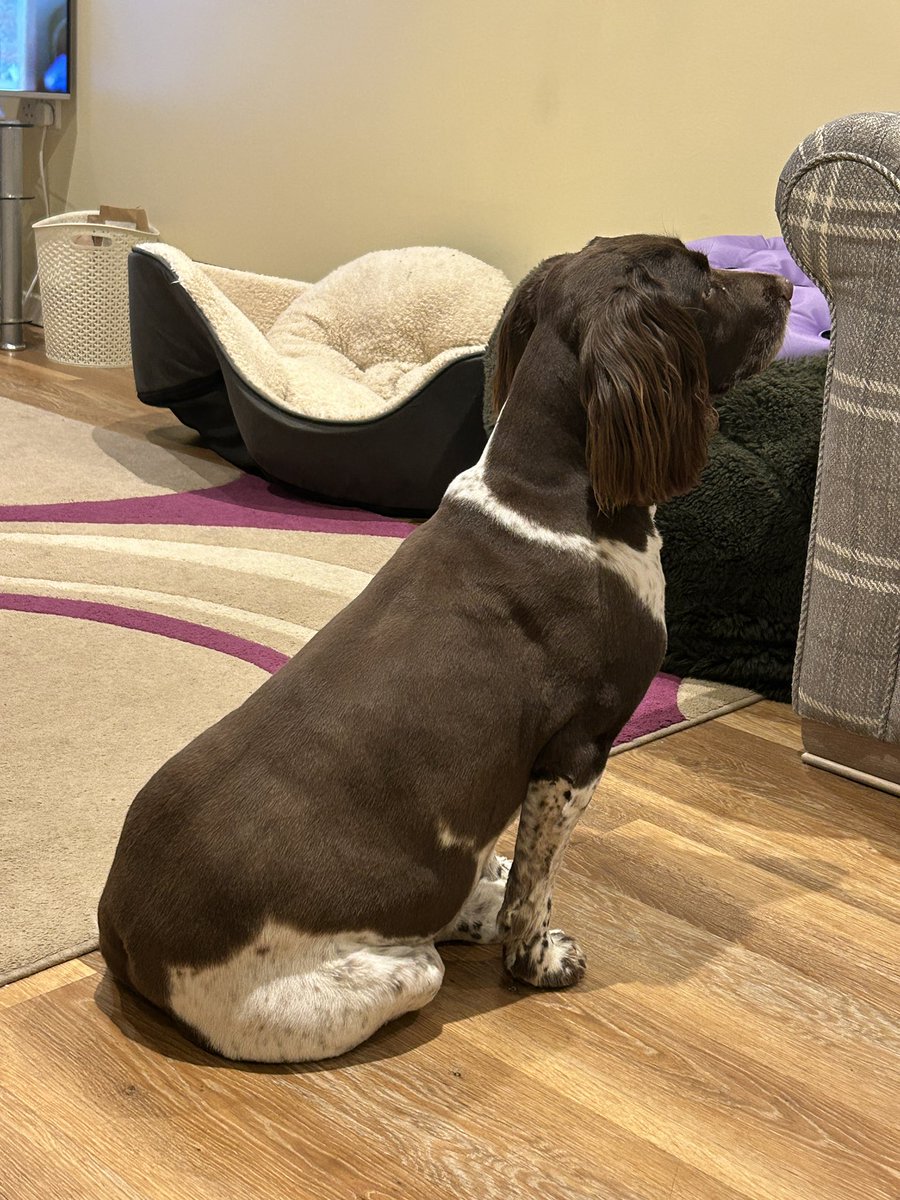 Roger Brightman tweet media