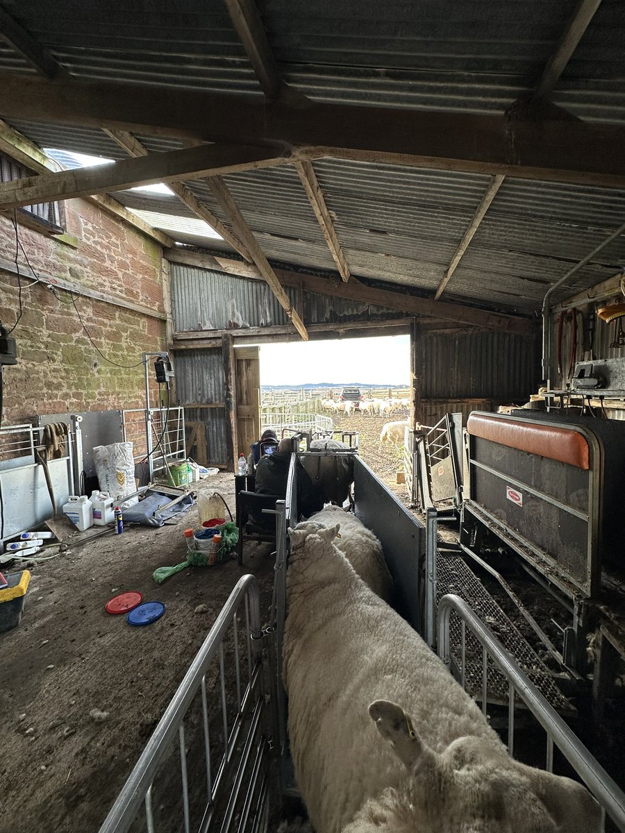 Going to be a busy end to April 😬 🔵