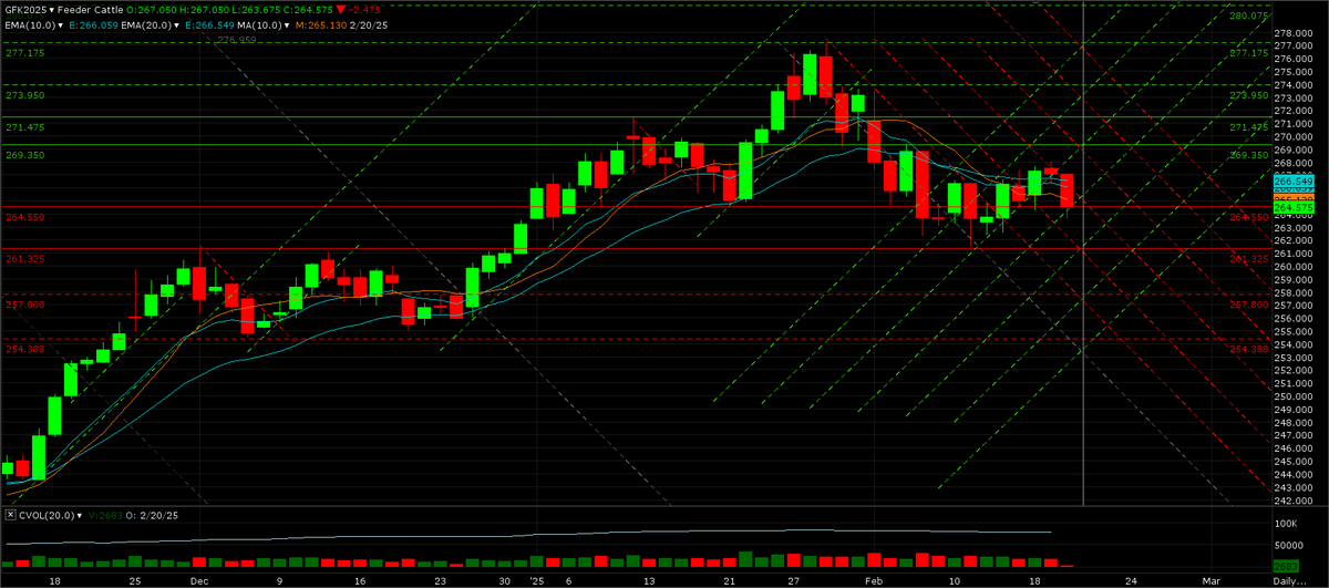 mbacowboy's tweet photo. I was hoping May feeders would reach $269-$271, but this may be all we get for a while. Breaking below $261.50, next support level is $254-$258. I'm positioning for that area and adding at $269+ if the contract tops yesterday's $268.05 high. https://t.co/rCQgIkpMot