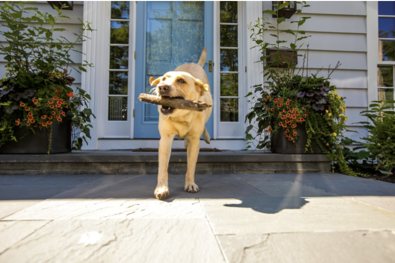 HirschBrick's tweet photo. Unleash your backyard’s potential.

At Hirsch Brick, we love our fluffy friends, and we know they’re an important part of your family.

Dig your paws into your next project with https://t.co/HWW4DIjS0y.

#nationalloveyourpetday #homedesignforpets #backyardgoals #patioperfection https://t.co/JrGAKg4S01