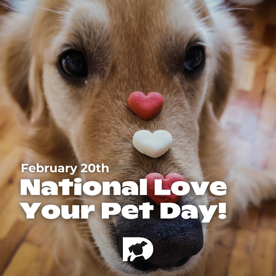 dogtv's tweet photo. Happy National Love Your Pet Day! 🐾❤️ Today is all about showering our furry friends with extra love and attention. 

How are you spoiling your pet today? 🐶🐱 

#DOGTV #tvfordogs #NationalLoveYourPetDay #PetLove #PetLovers https://t.co/W1HjXq0l4J